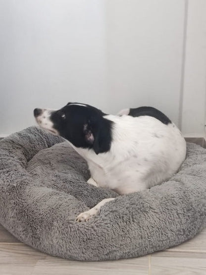 🐾SoftCloud Cama para Perros Grande 90cm — Confort ortopédico para un descanso reparador🔥