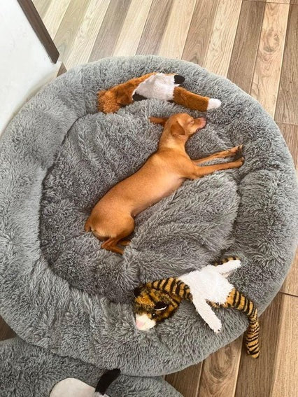 🐾SoftCloud Cama para Perros Grande 90cm — Confort ortopédico para un descanso reparador🔥